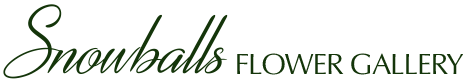 Snowballs Flower Gallery in Rosebud Logo
