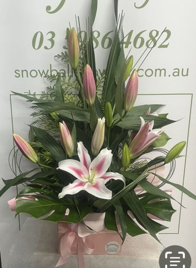 Graceful - Grace in every petal — our signature lily arrangement blends soft pink and pristine white blooms with lush greenery, capturing purity, renewal, and heartfelt emotion. Presented in